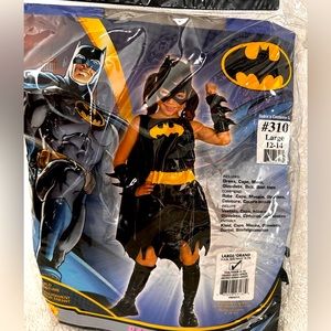 Rubie’s Bat Girl child’s costume